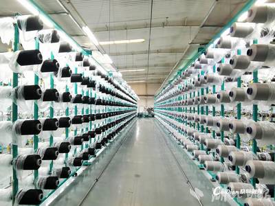 蔡甸:2家企業(yè)入選國家級綠色工廠名單!