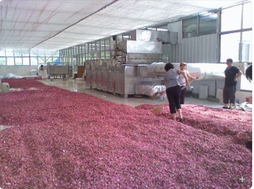 山東組合式冷凝液回收烘干設(shè)備報價