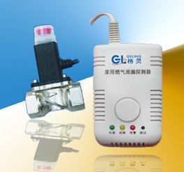 家用燃?xì)庑孤┨綔y(cè)器 一氧化碳報(bào)警器專(zhuān)業(yè)制造商歡迎咨詢(xún)高清圖片 高清大圖