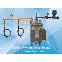 汽化器 東升節(jié)能燃氣設(shè)備 燃氣鍋爐廠配用汽化器 東升